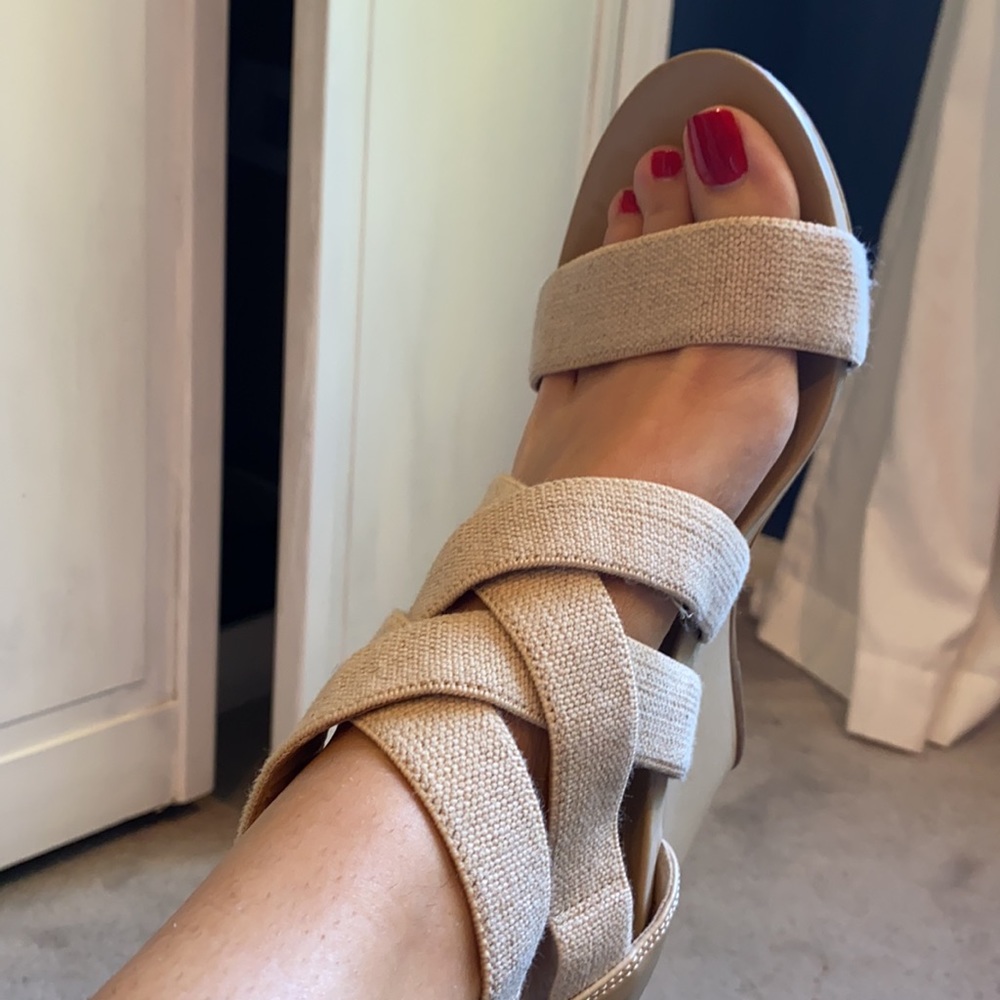 BCBG wedges